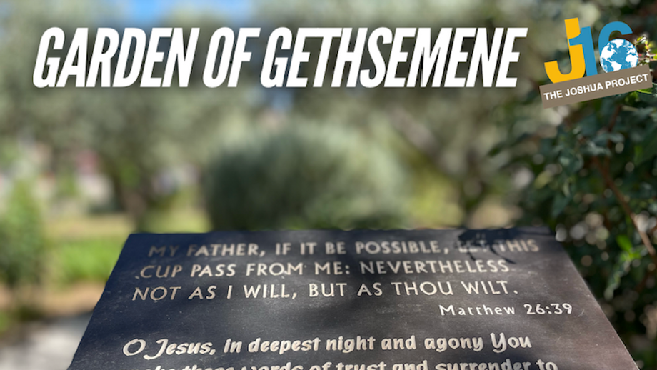 Garden of Gethsemene